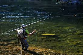 Check spelling or type a new query. The Wrong Bite Minnesota Angler S Wilderness Fishing Trip Stings State Regional Missoulian Com