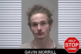 Gavin Morrill : https://thegeorgiagazette.news/coweta-county/gavin-morrill/