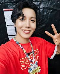 BTS members solo tours announced