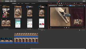 To edit videos you need editing software. How To Create A Picture In Picture Video In Imovie On Mac And Ios