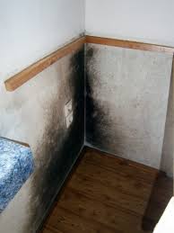 Kann ich an dieser wand (wegen der rohre natürlich mit etwas. Vorsicht Schimmel Kuchenplaner Magazin