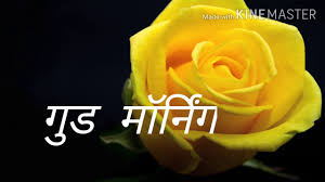 Check spelling or type a new query. Good Morning Good Morning Hindi Video Share Goodmorning Hindi Wishes On Whatsapp Fb Insta Status Youtube