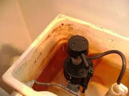Iron bacteria are not known to cause disease. Bathroom Deep Cleaning Time Professional Cleaners Vs Homeowners Hometalk