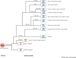 Was wir bislang über b.1.617 wissen in indien steigt die zahl der neuinfizierten rasant. Sars Cov 2 Genomics An Indian Perspective On Sequencing Viral Variants Springerlink