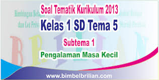 Lkpd ppkn (kelas 5 tema 1 subtema 2) by agiilkurniawaty: Soal Tematik Kelas 1 Sd Tema 5 Subtema 1 Pengalaman Masa Kecil Dan Kunci Jawaban Bimbel Brilian
