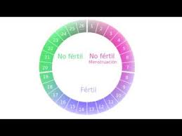 Conoce Tus Dias Fertiles Sin Calculadora De Ovulacion Youtube