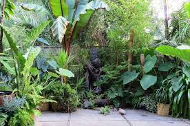 Pin Von Advogado Armando Auf Schoner Garten Tropischer Garten Tropische Garten Tropische Gartengestaltung