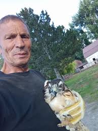 I just rescue this beautiful hawk