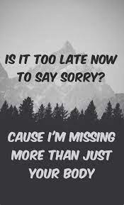 Is it too late now to say sorry? Is It Too Late Now To Say Sorry Cause I M Missing More Than Just Your Body Lyrics Justin Bieber Justin Bieber Lyrics Sorry Lyrics Song Lyric Quotes