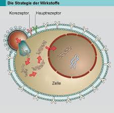 Dabei wird ein tropfen blut auf einen teststreifen aufgetragen. Aids Roche De