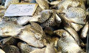 Vorlage freundebuch zum ausdrucken : Resepi 1 Kilo Ikan Mambung Lemak Cili Padi Club Resepi Ayam Masak Lemak Cili Padi Belimbing Buloh