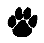 Norwich Free Academy Varsity Field Hockey @ Edwin O. Smith