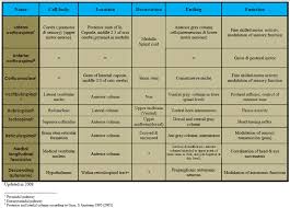 Spinal Tracts Table The Descending Tracts Of The Spinal