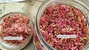 Bunga kantan merupakan pokok herba yang banyak digunakan dalam masakan khususnya. Launch Our New Dried Sliced Bunga Kantan Torch Ginger Flower Nyonyalicious