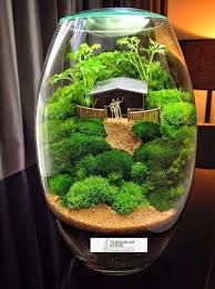 Pin By Sasi On Photoporter Terrarium Miniature Garden Mini Garden