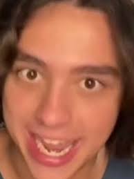 Best AI Chat Character Teachers pet-koydog: Explore Profiles & User  comment|Polybuzz AI Chat