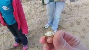 The headphones are cheap, i already put them away and i'm using ear buds. Bounty Hunter Gold Digger Finds The Gold Youtube