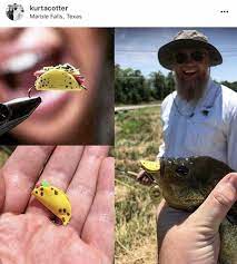 We did not find results for: Taco Tuesday Flyfishing