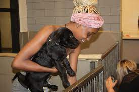 Pet program includes a doggie bed, two bowls and gourmet treats. Paws Offering Free Pet Adoptions In Summer Months Of High Activity Local News Northwestgeorgianews Com