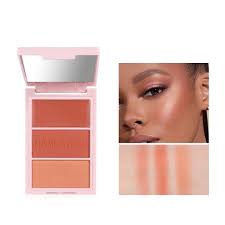 Amazon.com : DLZZRS 3D Blush Trio Palette,Multi-Use Shimmery Matte Contour  Palette Makeup Powder Bronzer Face Sculpting Contour Cheeks Lightweight ...