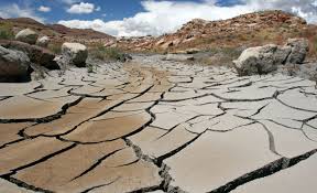 Subhashree sahu nudes mms porn received greeted with a few