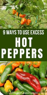 9 Ways To Use Excess Hot Peppers From The Garden Stuffed Peppers Stuffed Hot Peppers Dinner