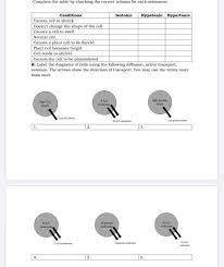 A plant cell can become a blood cell. Cell Transport Review 1 Complete The Table By Chegg Com