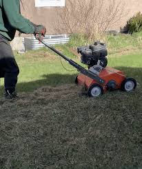 • 160cc cub cadet ohv engine. Calgary Power Raking Aeration Spring Yard Cleanup Services