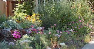 Classic all organic, low water homesteading never looked smarter! California Native Front Garden Bed In Spring Kelly Marshall Garden Design