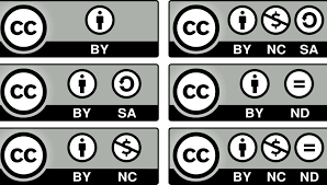 Resultado de imagen de imagenes de los tipos de licencias