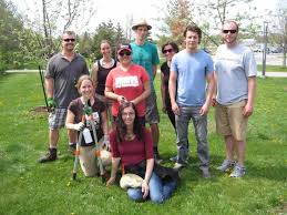 As the summer comes to an end, we await the timeless tradition of picking apples. Why Small Fruit Trees Are Better Than Larger Trees