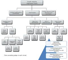 johnson and johnson org chart www bedowntowndaytona com