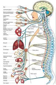 Pin On Morning Health Inspiration Articles