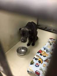 Pin On All About Art