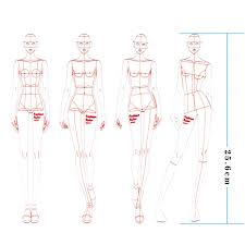 I'm using this as a base for indicating location of. Fashion Illustration Rulers 4 Models Female Clothing Design Effect Diagram Fashion Painting Human Body Dynamic Template Ruler Rulers Aliexpress