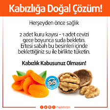 Faydali Bilgin Kadin Saglik Ve Yasam A Dair Bilgi Portali Saglik Urunleri Saglikli Yasam Tarzi Dogal Saglik