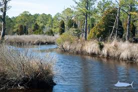 fishes of north carolina fishes of north carolina