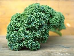 Le Chou Kale Culture Recolte Et Bienfaits Culture De Choux Le Chou Kale Chou Kale
