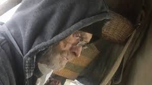 sendoff-for-a-solitary-man-public-invited-to-funeral-for-terrell-who-lived-in-knox-woods