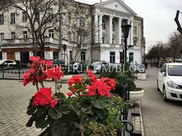 В Севастополе зацвели розы, флоксы, хризантемы - в середине января 2018 - БЛОГ AI-PETRI.COM - ВСЁ о КРЫМЕ