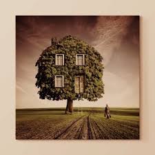 Ruyada Kolda Morluk Gormek Hayirli Ruyalar