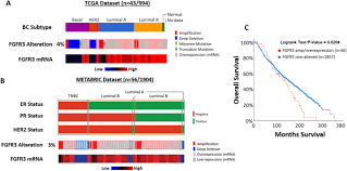 The impact of these projects has been felt right across australia with many of the grants made possible by box rallies funding. Fgfr3 Signaling And Function In Triple Negative Breast Cancer Cell Communication And Signaling Full Text
