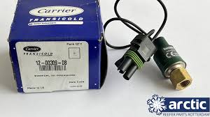 Image result for Hypoxis sp. A (as per FZ 12-3)