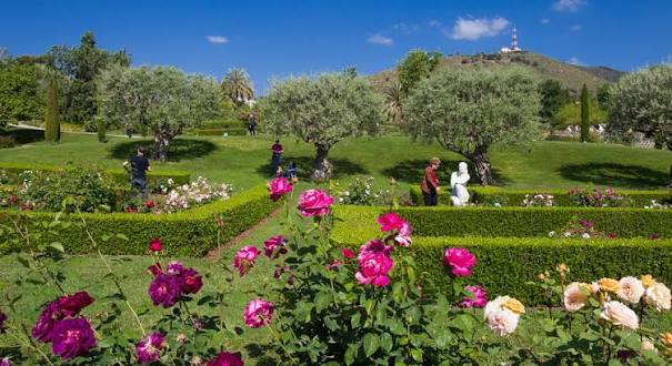 Parque de Cervantes: Rosaleda y Tranquilidad Urbana