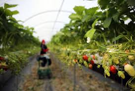 Retrouvez les prévisions météo gratuites pour le cher (18) et ses villes à 7 jours. Loir Et Cher Clusters Reperes Dans Plusieurs Entreprises Agricoles