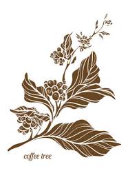 Look at links below to get more options for getting and using clip art. 19 331 Kaffeepflanze Vektorgrafiken Cliparts Und Illustrationen Kaufen 123rf