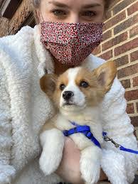 Daniel Sugg's Instagram, Twitter & Facebook