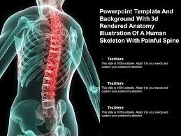 Browse 222 lower back skeleton stock photos and images available, or start a new search to explore more stock photos and images. Template With 3d Rendered Anatomy Illustration Of A Human Skeletal Back With Pain Presentation Graphics Presentation Powerpoint Example Slide Templates
