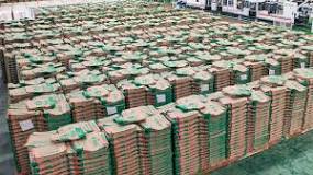 Cement Plastic Bags Manufacturing Process - The Ultimate Guide