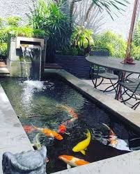 Jasa Tukang Kolam Ikan Koi Hubungi 0838 1960 2523 Www Suryataman Com Melayani Pembuatan Kolam Ikan Koi Kolam Minimalis Reli Di 2020 Kolam Ikan Taman Balkon Kolam
